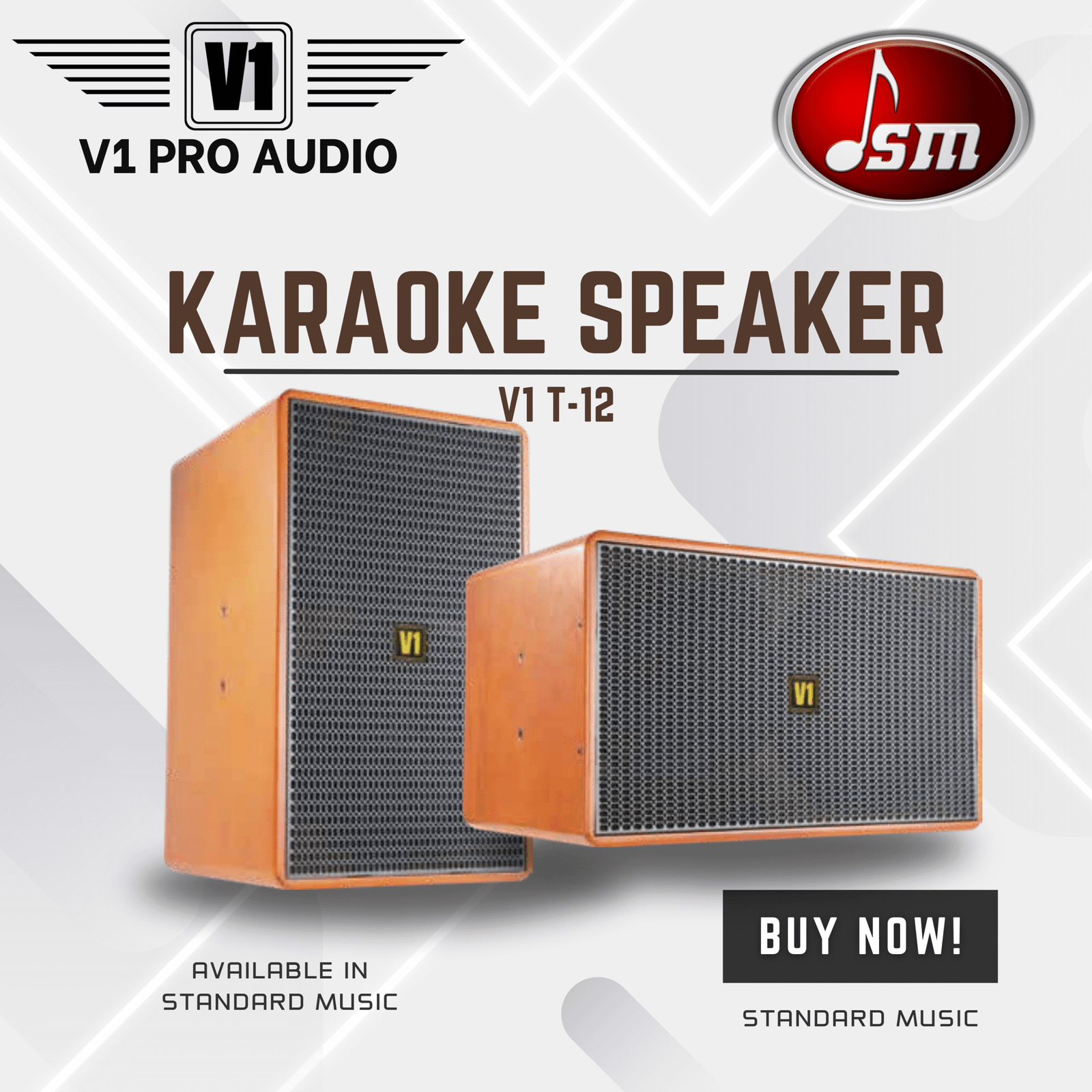 V1 Karaoke Speaker T12