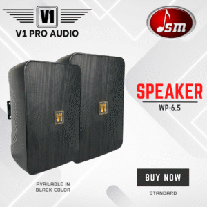 V1 Wall Speaker Wp-6.5