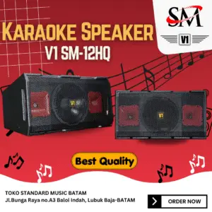 V1 SM12Hq Karaoke Speaker